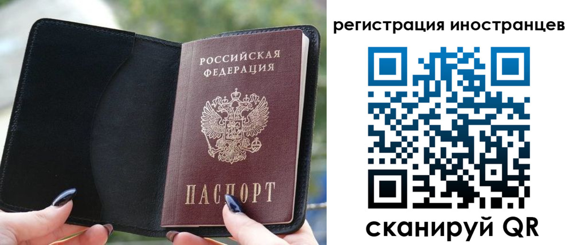 найти адрес прописки в Галиче